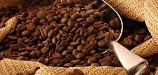 قهوة ارابيكا